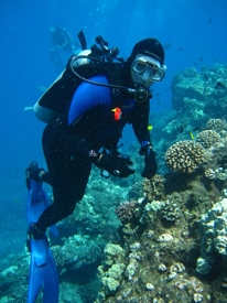 Diving around Maui